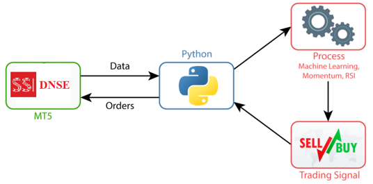 Kiến trúc luồng dữ liệu Python và MT5/DNSE
