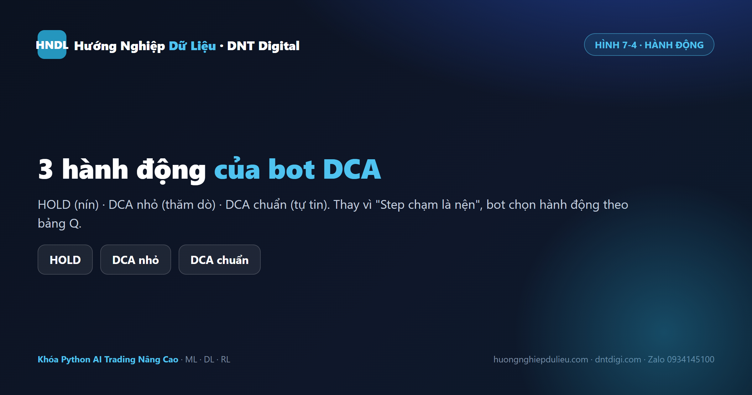 Ba hành động của bot DCA: HOLD, DCA nhỏ, DCA chuẩn — thay vì "Step chạm là nện" bot chọn theo chính sách